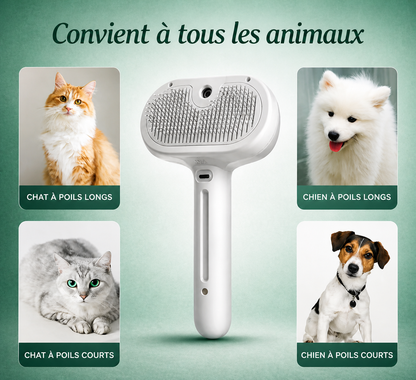 CalmaPet - Brosse à vapeur