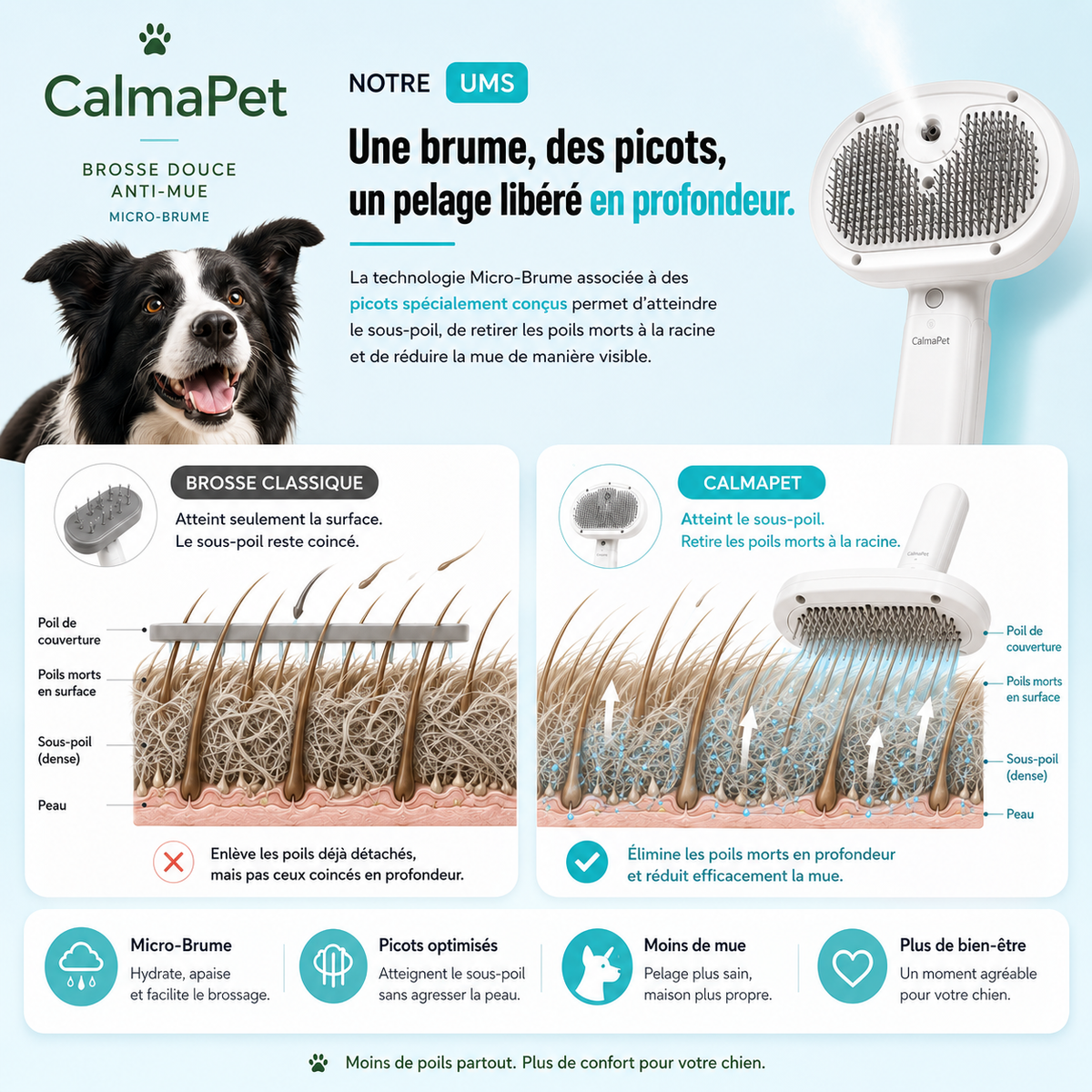 Comparatif brosse classique et CalmaPet