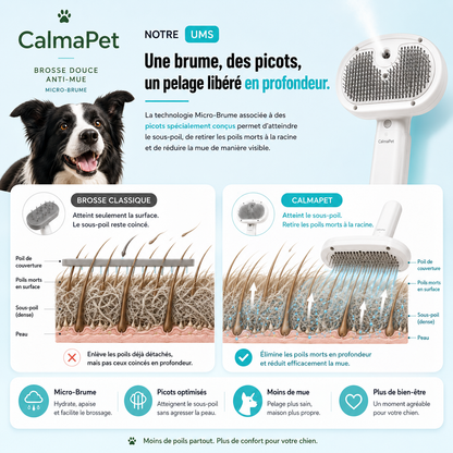 Comparatif brosse classique et CalmaPet