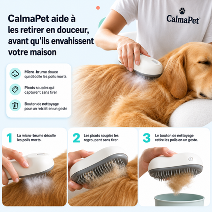 Utilisation de CalmaPet en trois étapes