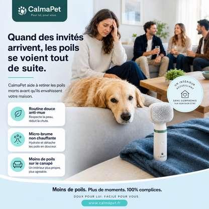 CalmaPet pour un intérieur accueillant