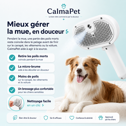 Mieux gérer la mue en douceur avec CalmaPet
